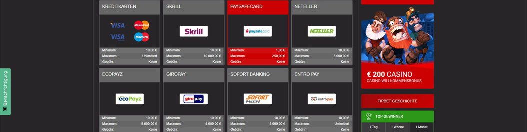 PaysafeCard Einzahlung Screenshot